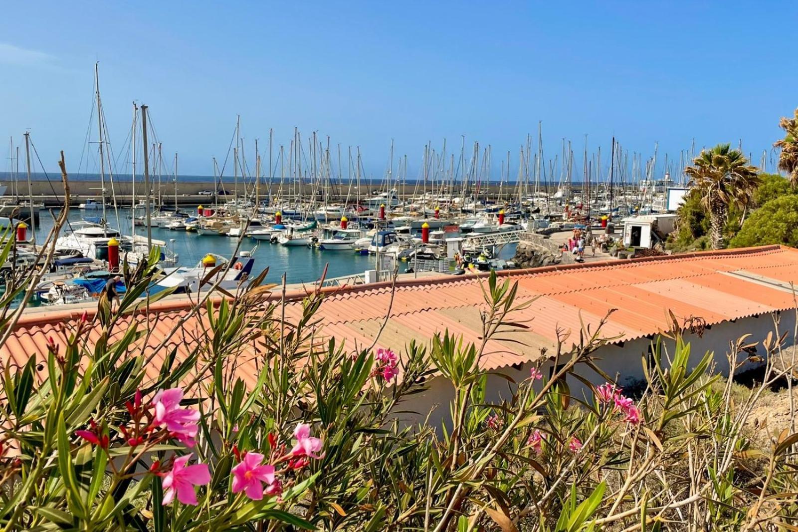 Amarilla Golf Apartment San Miguel de Abona Eksteriør billede